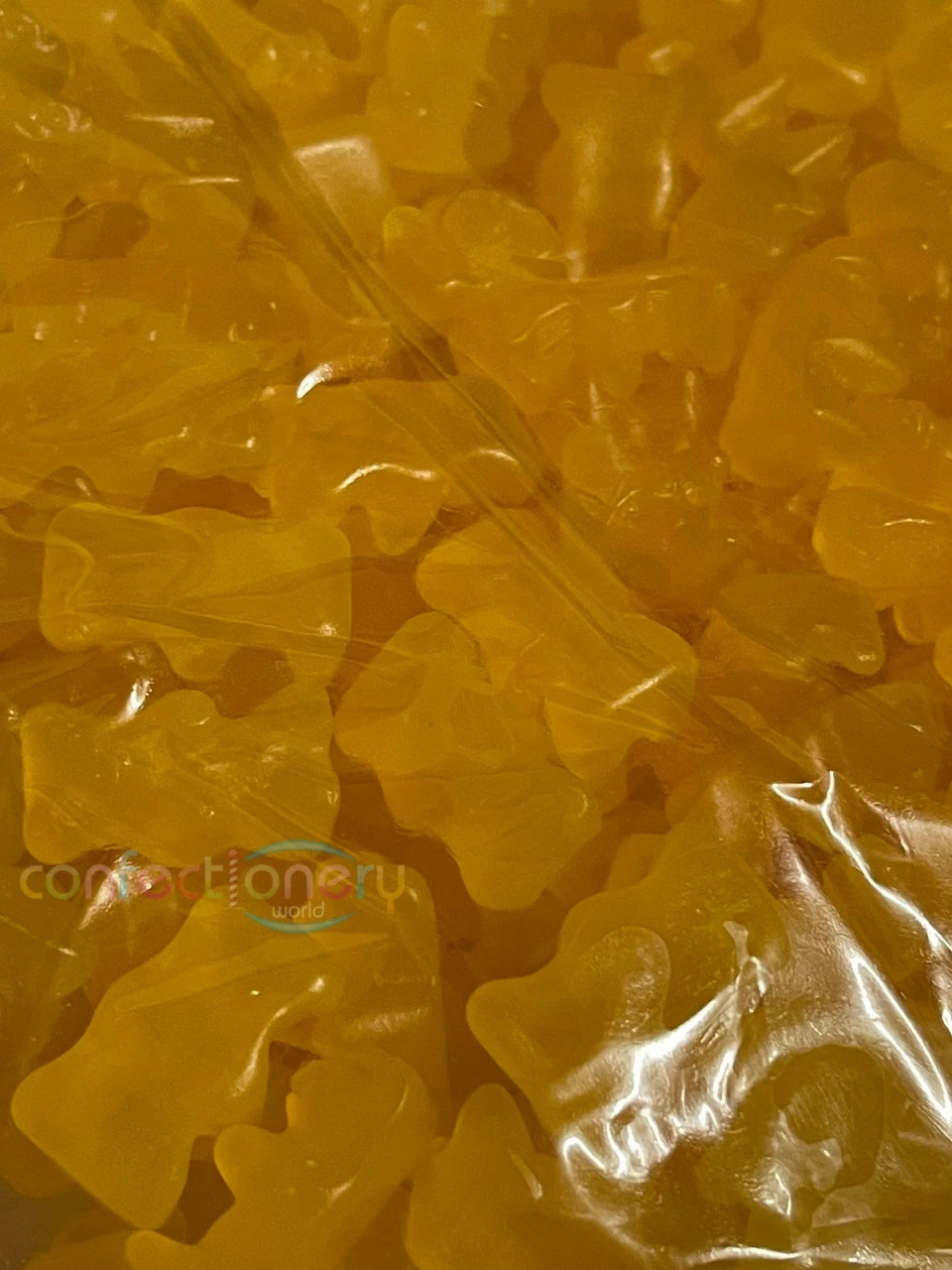 Honey Bears 1kg 6 Honey Bears 1kg - Image 4