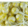 Ball Lollipop Yellow 1kg -CONFECTIONERY WORLD Shop ball pop yellow 30847.1705556446